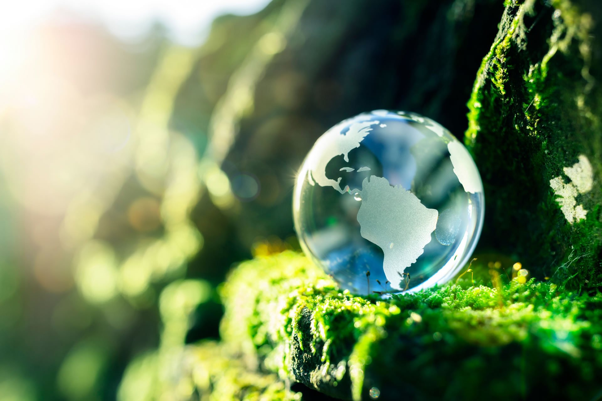 glass earth globe, moss and sunlight